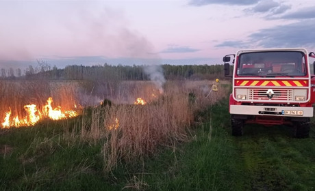 У Сарненському районі зайнялася суха трава: пожежу ліквідували