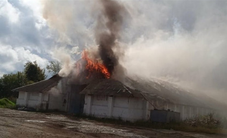 Волфино знову опинилося під ворожими обстрілами