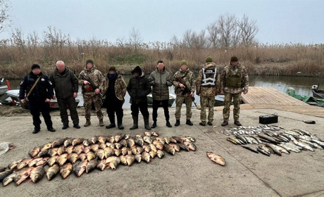 Били рибу струмом: В Ізмаїльському районі прикордонники затримали браконьєрів з електровудкою