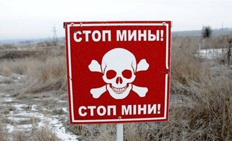 ГО “Проліска” допомагатиме людям, які постраждали від вибухонебезпечних предметів. Умови проекту