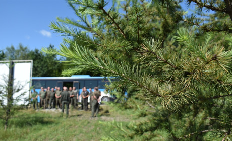 На Звягельщині відбулася виробнича нарада лісівників "Столичного лісового офісу"