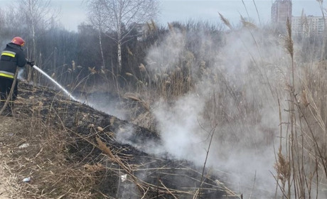 Додаткове навантаження на ДСНС-ників та шкода грунтам. Чому не варто палити сухостій та сміття