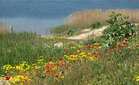 Неймовірна, красива і чарівна 