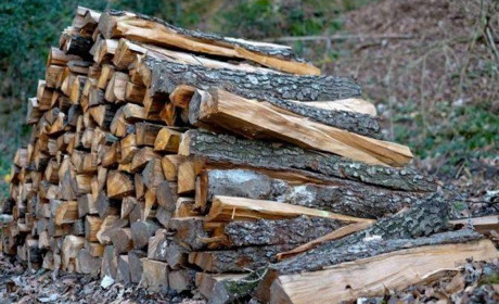 Малозахищеним верствам населення допоможуть з дровами