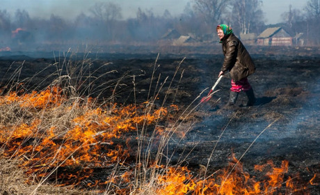 Не підпалювати суху рослинність закликають рятувальники жителів Глухівщини