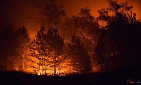 Луганщина у вогні: у мережі з’явилося відео пожеж і їх наслідків з висоти пташиного польоту