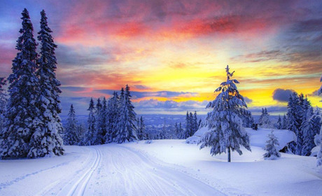 Погода на Сумщині та в Україні: що прогнозують синоптики найближчими днями