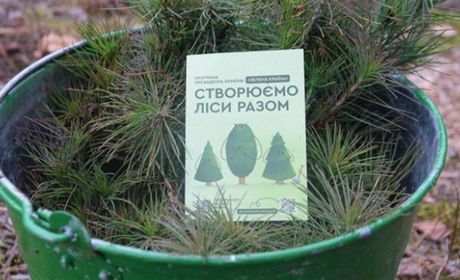 На Луганщині в приватну власність хотіли передати 112 га землі, призначеної для відновлення лісів
