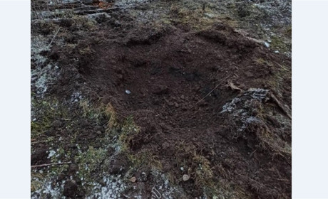 14 грудня по прикордонним громадам Чернгівщини російські війська випустили майже пів сотні мін