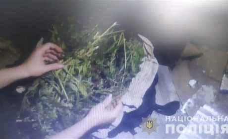 У Жмеринці в 49-річної жінки знайшли кілограм канабісу