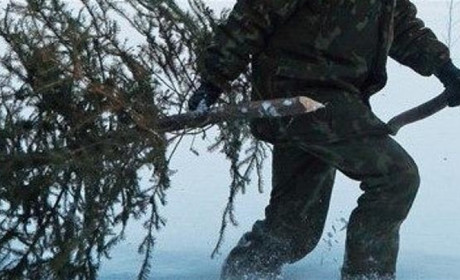 Шосткинський агролісгосп посилисть охорону лісів