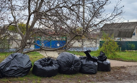 Чому в Южноукраїнській ТГ з Костянтинівки не вивозять опале листя?