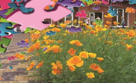 Суботні пазли: гра «Улюблений край на світлинах»