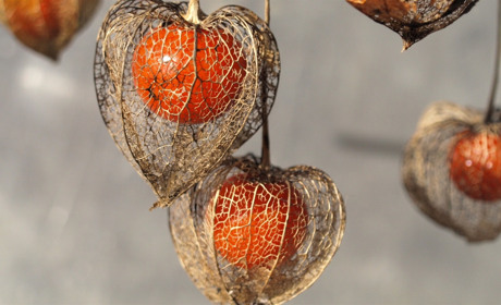 Якої погоди очікувати сватівчанам у останній тиждень січня: прогноз з 27 січня по 2 лютого 2020 року
