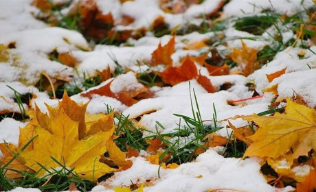 Погода на Сумщині погіршиться: очікуємо дощ, сніг та ожеледицю