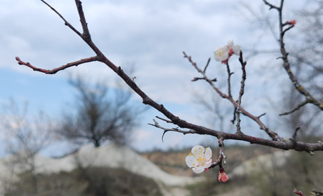 Останній квітневий приморозок, потепління і дощі: погода в Первомайську у середині квітня