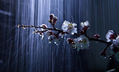 На вихідних трохи дощитиме. 19-20 квітня синоптики Сумщини прогнозують нічні заморозки