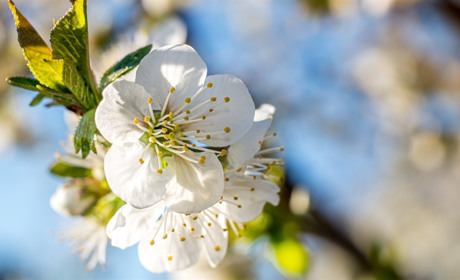 Гороскоп на тиждень з 20 по 26 квітня 2026 року: що зірки нам приготували