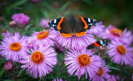 Якою буде погода на Сватівщині з 5 по 11 липня 2021: прогноз на тиждень