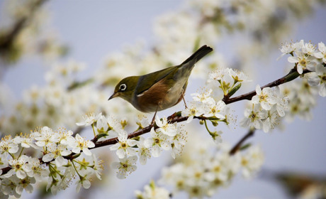 Якою буде погода у Сватовому 9 травня: прогноз з 6 по 12 травня