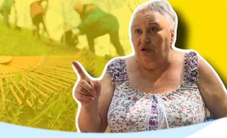 Яку територію треба прибрати і чи беруть участь у толоках жителі міста? Опитування