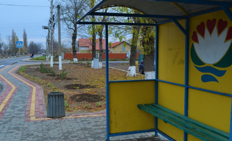 У Біляївці відновились крадіжки саджанців з міських квітників: комунальники закликають до сумління