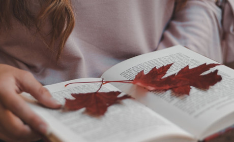 П’ять книг за версією Сватове.City, які можна почитати восени 