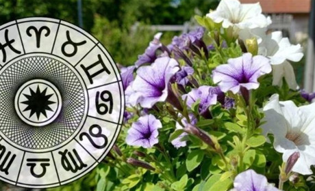 Гороскоп на тиждень з 10 по 16 червня 2024 року: що зірки нам приготували