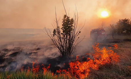 У Сватовому горить суха трава на відкритій місцевості: фото з місця події