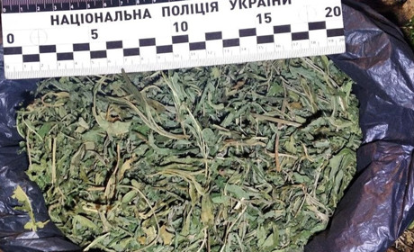 Поліція затримала жителя Зарічного із нарковмісними речовинами – він зрізав їх у полі