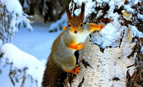 Дощі, мокрий сніг, тумани та ожеледиця: що прогнозують синоптики на початку наступного тижня