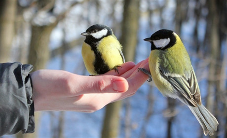 Как провести выходные в Мелитополе 8-9 декабря