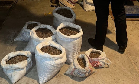 Майже пів тонни бурштину: трьох жителів Сарненського підозрюють в організації нелегального бізнесу