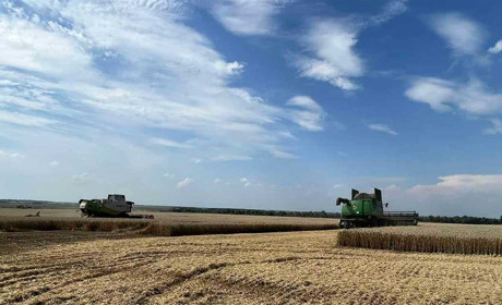 В «Агрофорті» розповіли про перші підсумки аграрного року