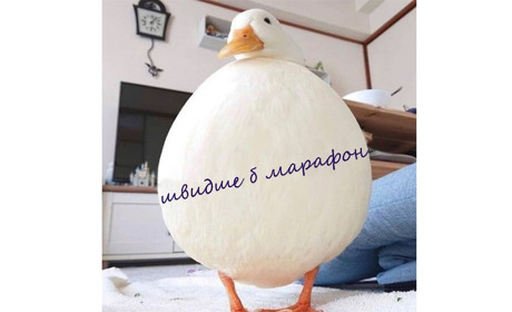 Я можу — саме час запускати марафон 
