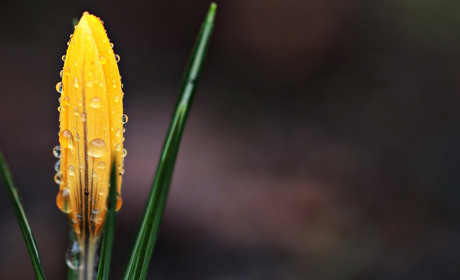 Якої погоди чекати сватівчанам у останній тиждень березня: прогноз з 23 по 29 березня 2020