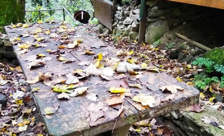 Дощі, зниження температури повітря і навіть заморозки: в Україну йде різке похолодання