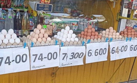По 70 грн за десяток: чому на Житомирщині зростають ціни на яйця