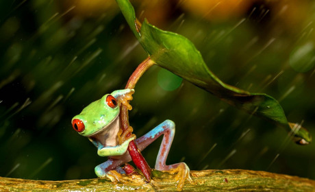 Де і коли дощитиме? Прогноз погоди на початок тижня