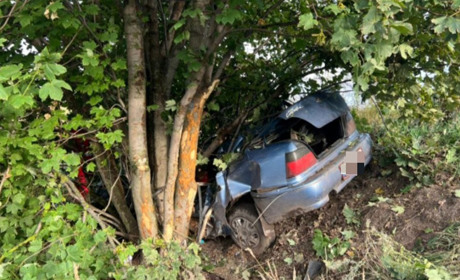 На Переяславщині автомобіль злетів у кювет і врізався в дерево: 39-річний водій загинув