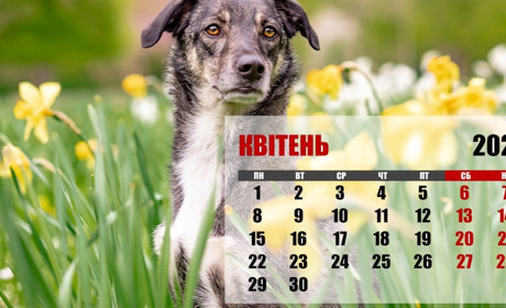 Календар професійних, державних та релігійних свят та пам'ятних дат на квітень 2024 року
