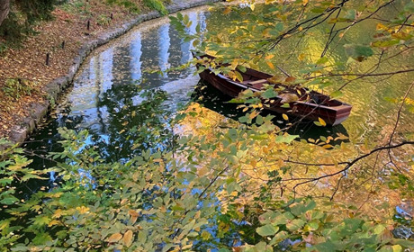 Що таке осіння депресія, та як її побороти. Чекліст з 10 ідей, які необхідно втілити восени