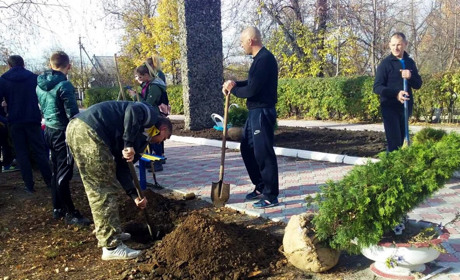 У Петропавлівці по вулиці Сонячній посадили 10 лип, а у першій школі прикрасили шкільне подвір’я