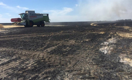 У Свердлівці Сватівського району згоріло 40 гектарів пшениці, через вітер вогонь перекинувся в ліс