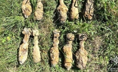 Десяток мінометних мін знайшли на Шепетівщині