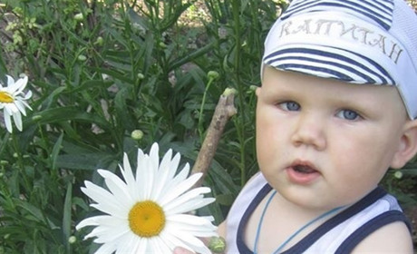 Коли працювати на городі та в садку в червні