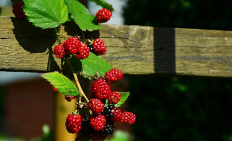 Якою буде погода у Сватовому і районі з 14 по 20 вересня 2020 року: прогноз на тиждень