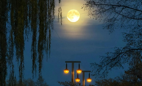 Де відключатимуть електроенергію селах Кагарлицької громади 30 та 31 березня