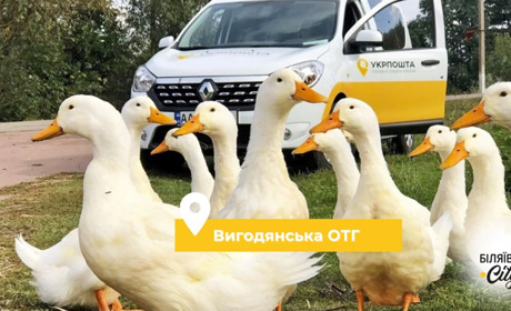 У селі Вигода буде працювати пересувне відділення "Укрпошти": шукають працівників у стаціонарне