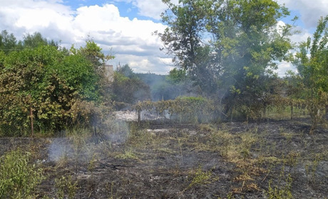 Вогонь загрожував будинкам: на Переяславщині горіла суха трава
